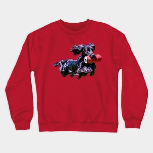 Flying Cocker Spaniel Crewneck Sweatshirt